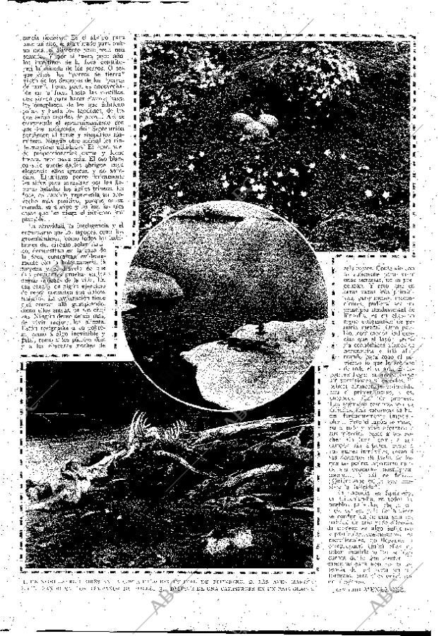 ABC MADRID 27-12-1925 página 11