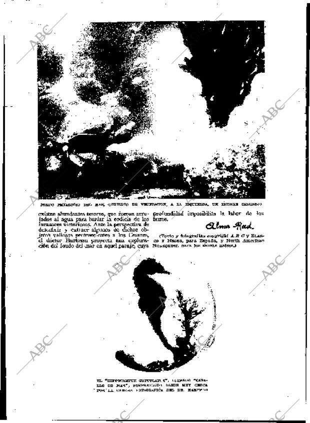 BLANCO Y NEGRO MADRID 17-01-1926 página 14