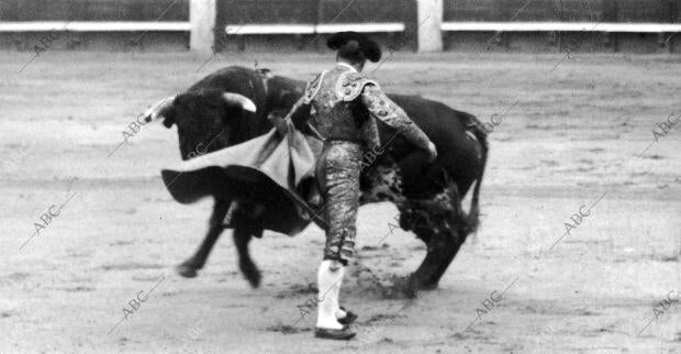 Luis Freg en un recorte