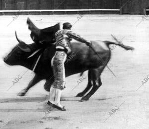 La corrida de Toros del Domingo. Paradas Rematando un quite
