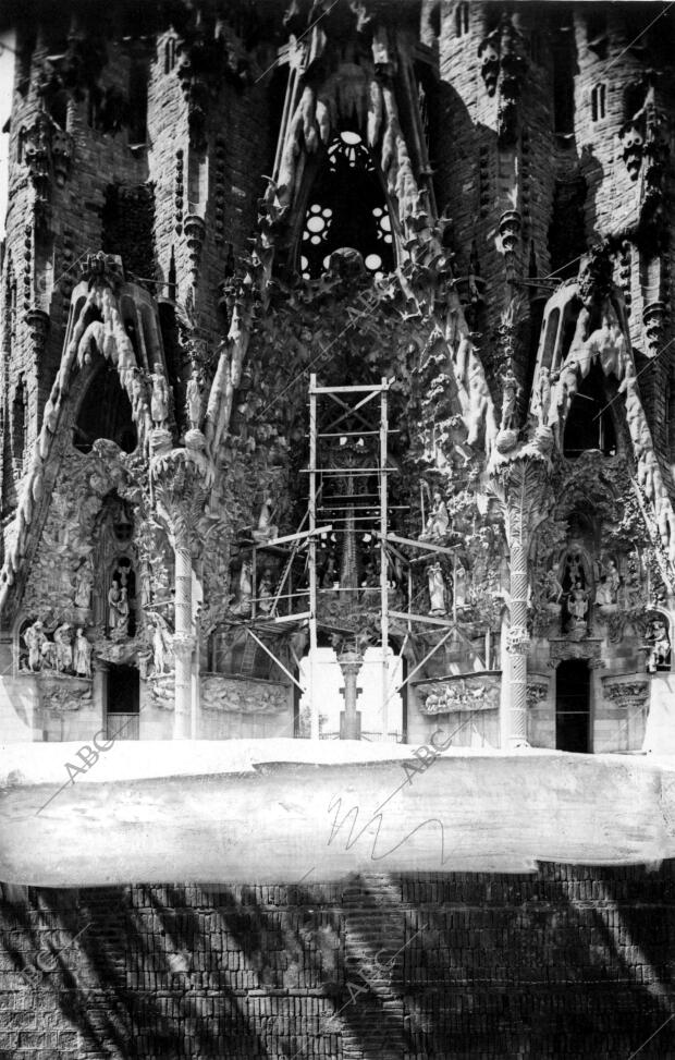 El pórtico norte de la Sagrada familia y la flora simbólica