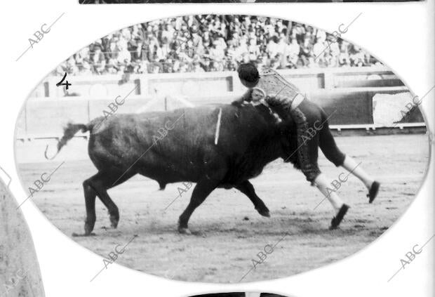 Una estocada de zurito en la corrida de Prueba