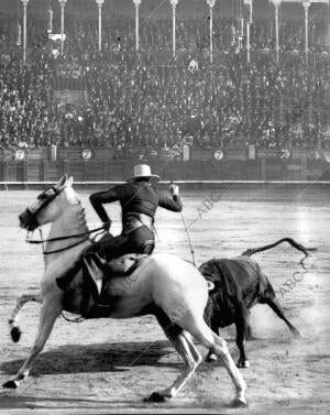 El rejoneador cañero Clavando un rejón de muerte A uno de los Toros que Lidió en...