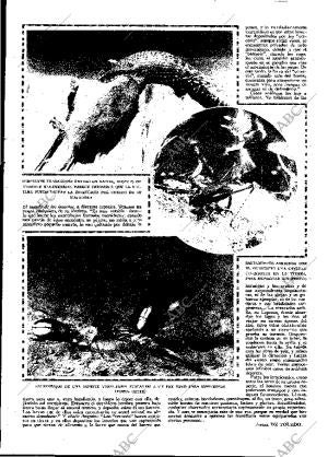ABC MADRID 02-10-1926 página 7