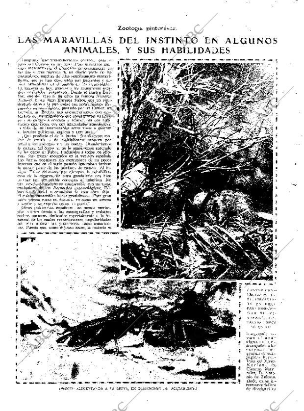 ABC MADRID 03-10-1926 página 6