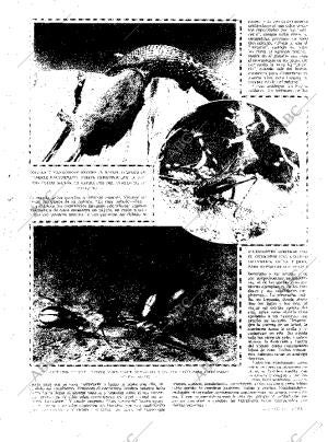 ABC MADRID 03-10-1926 página 7