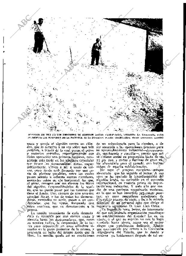 BLANCO Y NEGRO MADRID 14-11-1926 página 21