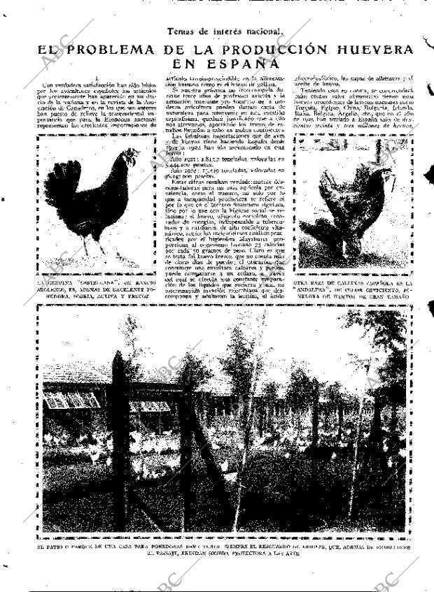 ABC MADRID 05-12-1926 página 12