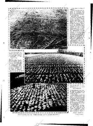 ABC MADRID 19-12-1926 página 10
