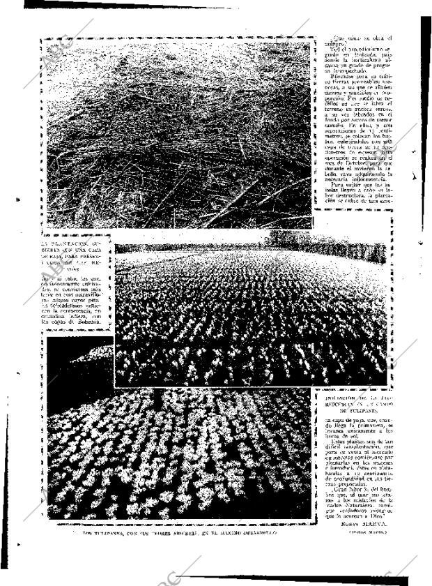 ABC MADRID 19-12-1926 página 10