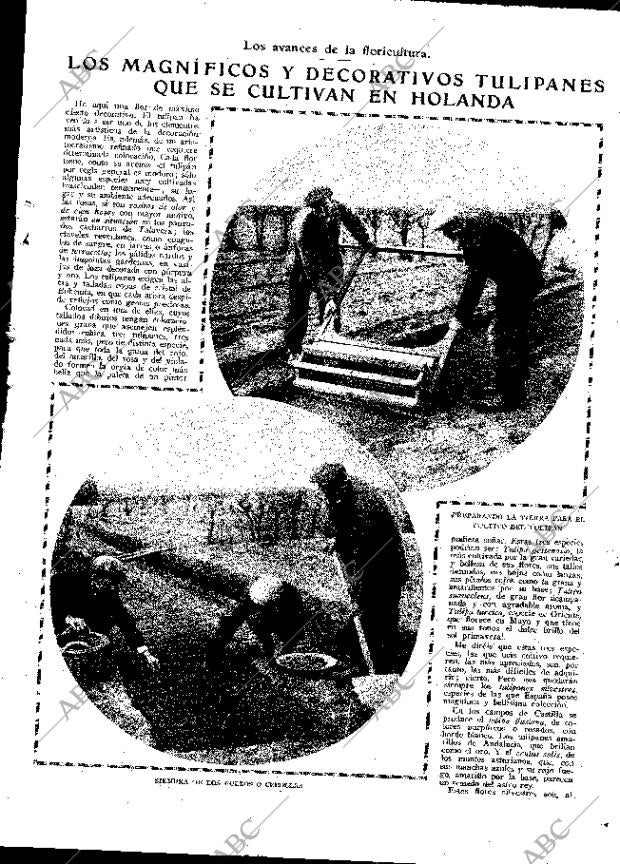 ABC MADRID 19-12-1926 página 9