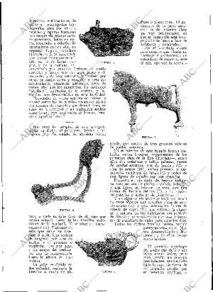 BLANCO Y NEGRO MADRID 06-02-1927 página 25