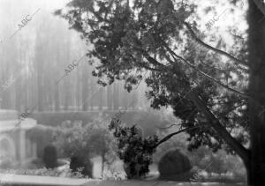 Paisaje del Parque del Retiro en otoño