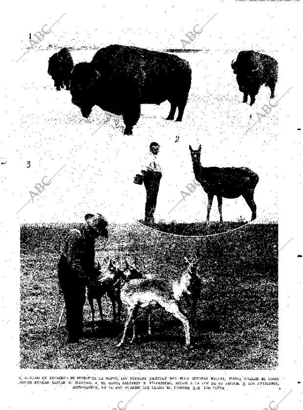 ABC MADRID 16-10-1927 página 11