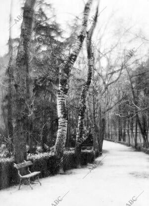 parque del Retiro.- paisaje de Invierno