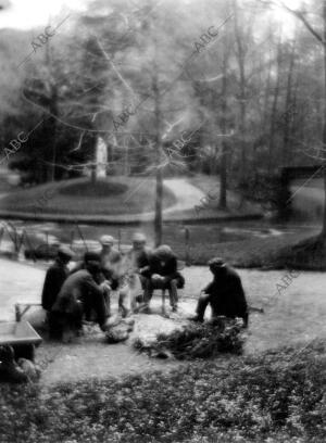 Dia Gris- la Sobremesa - diciembre bajo los Arboles del Retiro