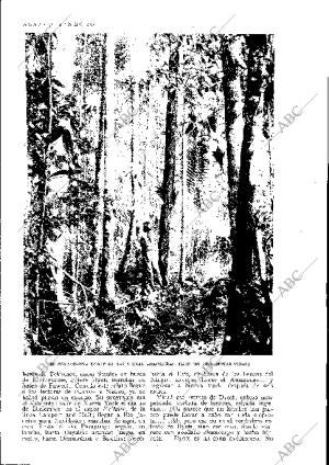 BLANCO Y NEGRO MADRID 08-01-1928 página 30