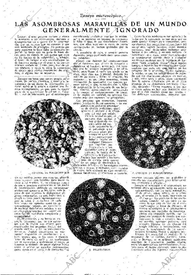 ABC MADRID 12-02-1928 página 6