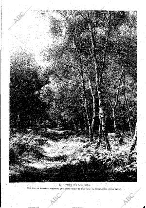 ABC MADRID 18-11-1928 página 15