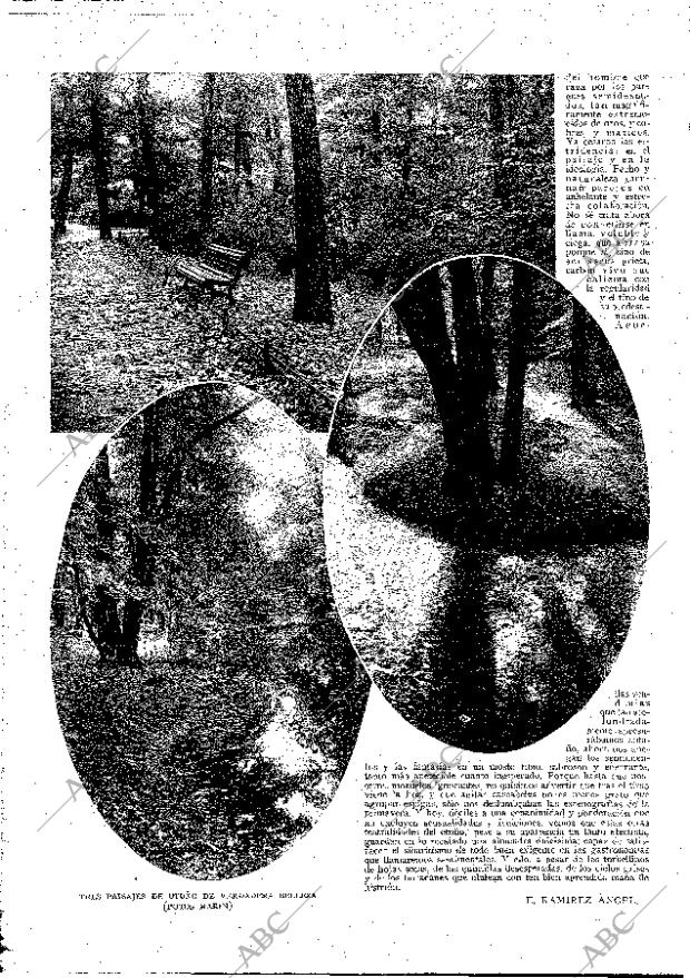 ABC MADRID 18-11-1928 página 8