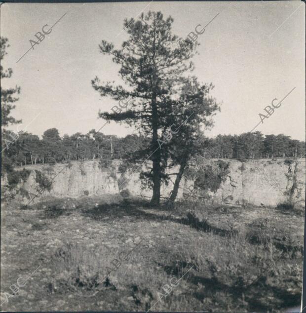 La torca del lobo