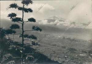 La Orotava (Tenerife), 1929 (Ca.). Vista del Teide y de La Orotava