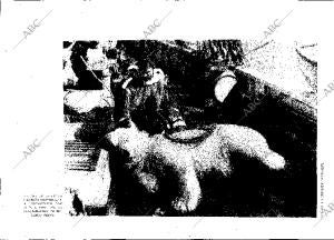 BLANCO Y NEGRO MADRID 24-02-1929 página 13