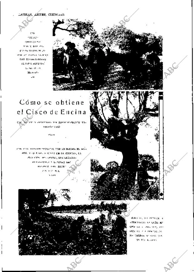 BLANCO Y NEGRO MADRID 07-04-1929 página 18