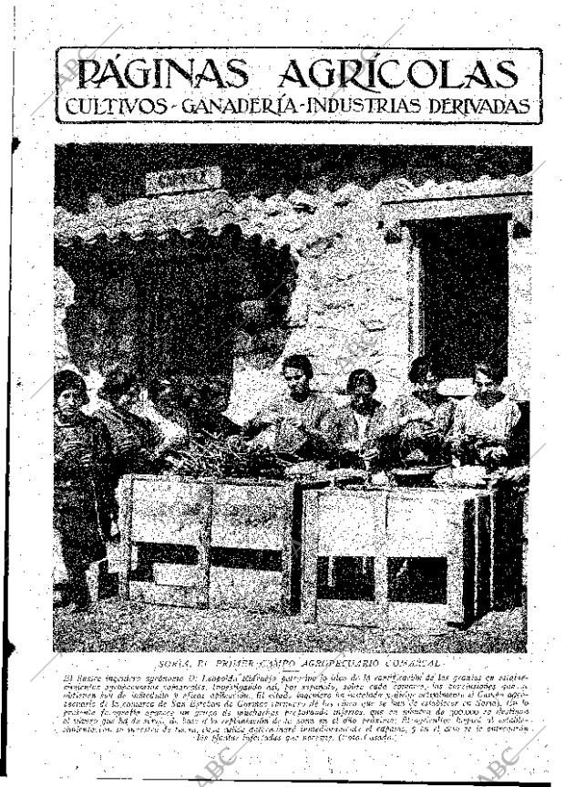 ABC MADRID 13-04-1929 página 9