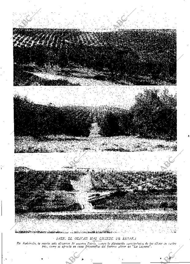 ABC MADRID 01-06-1929 página 12