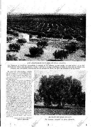 ABC MADRID 01-06-1929 página 13
