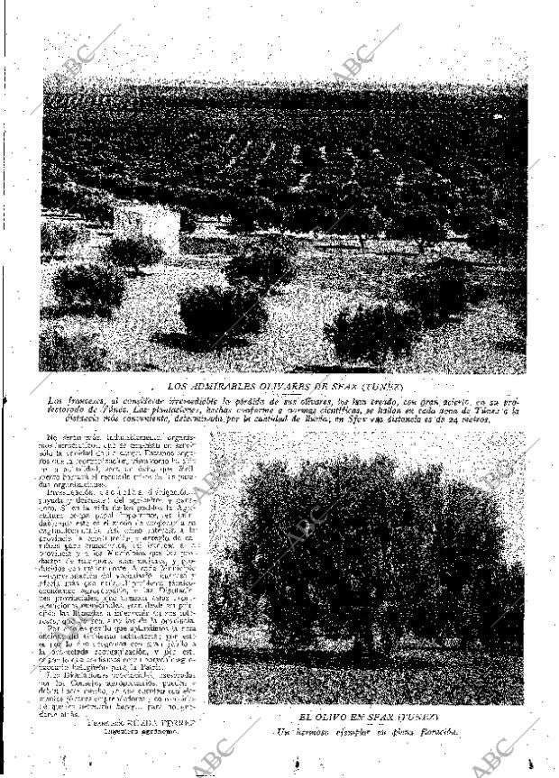 ABC MADRID 01-06-1929 página 13