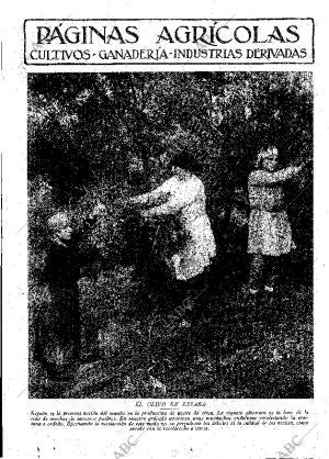 ABC MADRID 01-06-1929 página 9