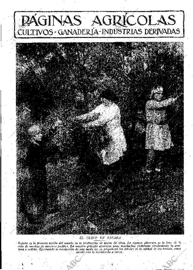 ABC MADRID 01-06-1929 página 9