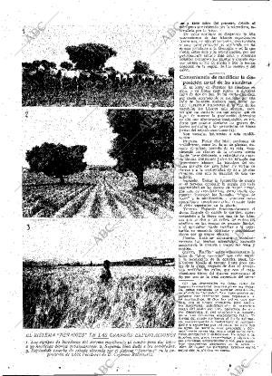 ABC MADRID 22-06-1929 página 12