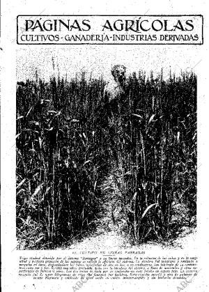 ABC MADRID 22-06-1929 página 9