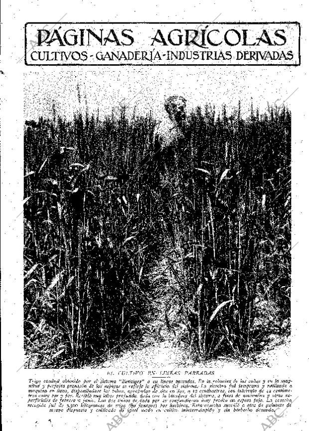 ABC MADRID 22-06-1929 página 9