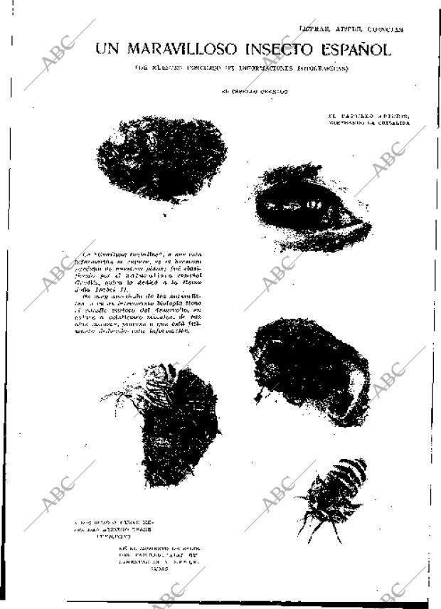 BLANCO Y NEGRO MADRID 23-06-1929 página 5