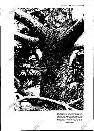 BLANCO Y NEGRO MADRID 23-06-1929 página 7