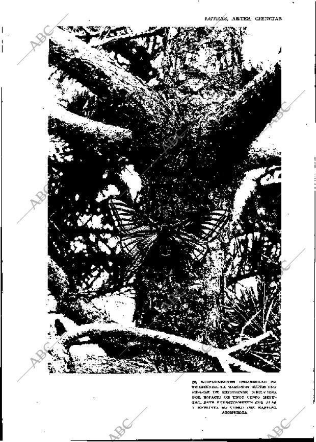 BLANCO Y NEGRO MADRID 23-06-1929 página 7