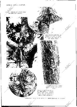 BLANCO Y NEGRO MADRID 23-06-1929 página 8