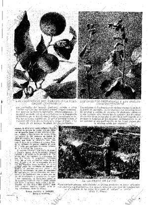 ABC MADRID 03-08-1929 página 13