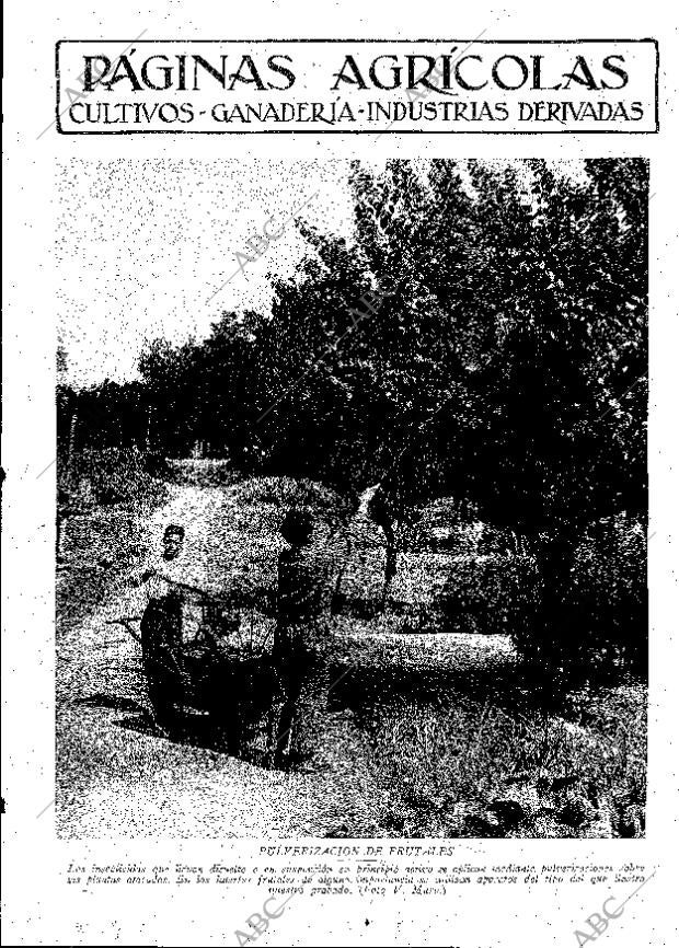 ABC MADRID 03-08-1929 página 9