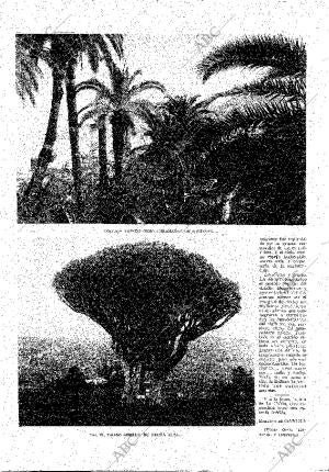 ABC MADRID 04-08-1929 página 4