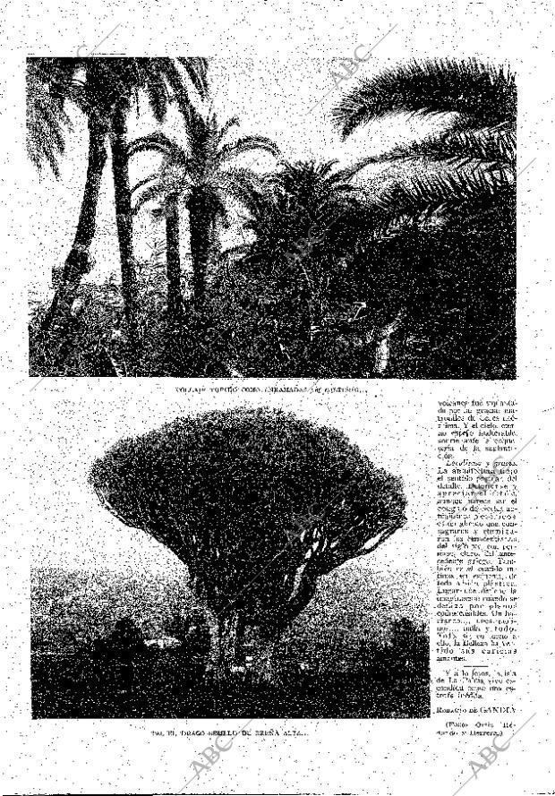 ABC MADRID 04-08-1929 página 4