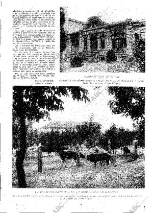 ABC MADRID 31-08-1929 página 13