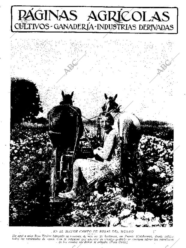 ABC SEVILLA 15-10-1929 página 9
