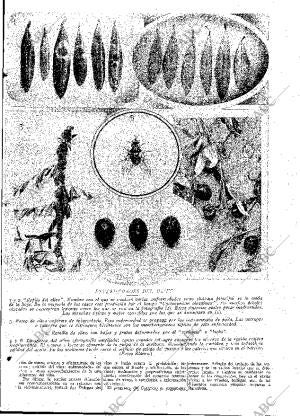 ABC MADRID 19-10-1929 página 13