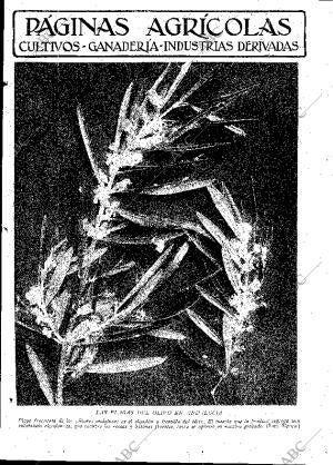 ABC MADRID 19-10-1929 página 9