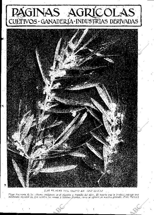 ABC MADRID 19-10-1929 página 9